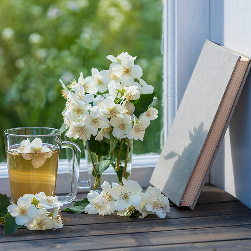 学びのイメージ写真